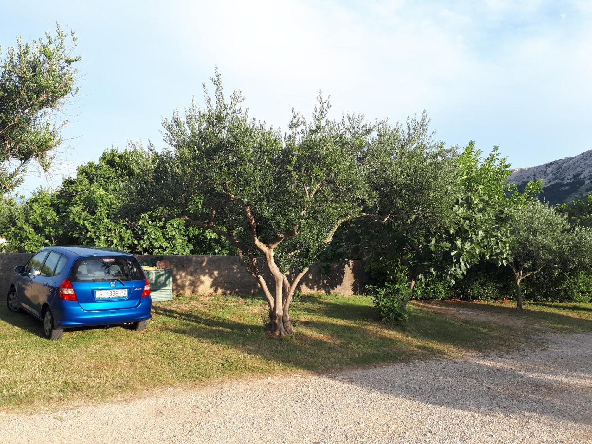 Apartments Petrica Baška Zewnętrze zdjęcie